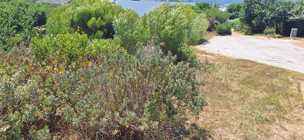 606 m² Land available in Stilbaai photo number 3