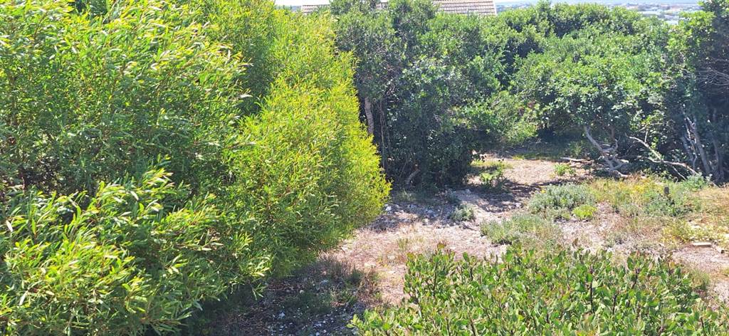 606 m² Land available in Stilbaai photo number 1