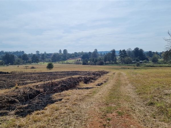 1.3 ha Land available in White River
