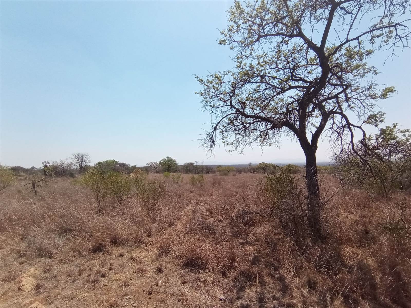 24.8 ha Land available in Tweefontein photo number 5