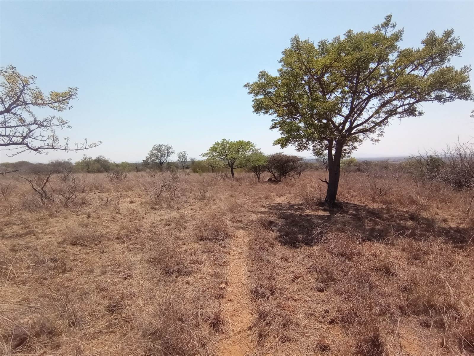 24.8 ha Land available in Tweefontein photo number 3