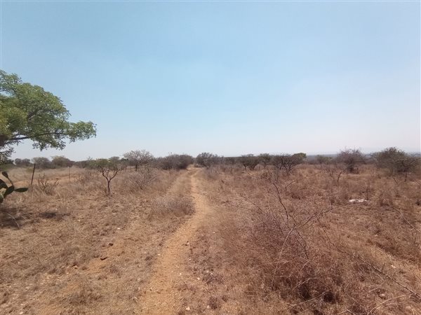 24.8 ha Land available in Tweefontein