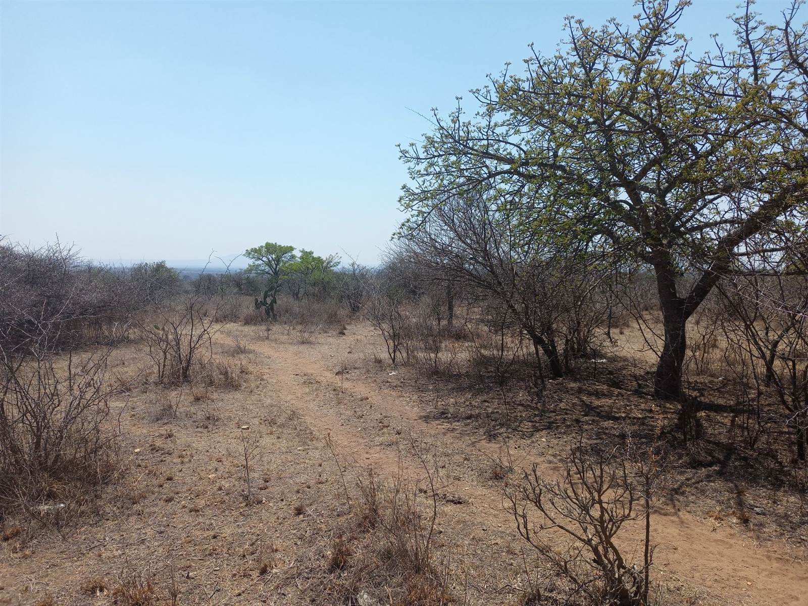 24.8 ha Land available in Tweefontein photo number 11