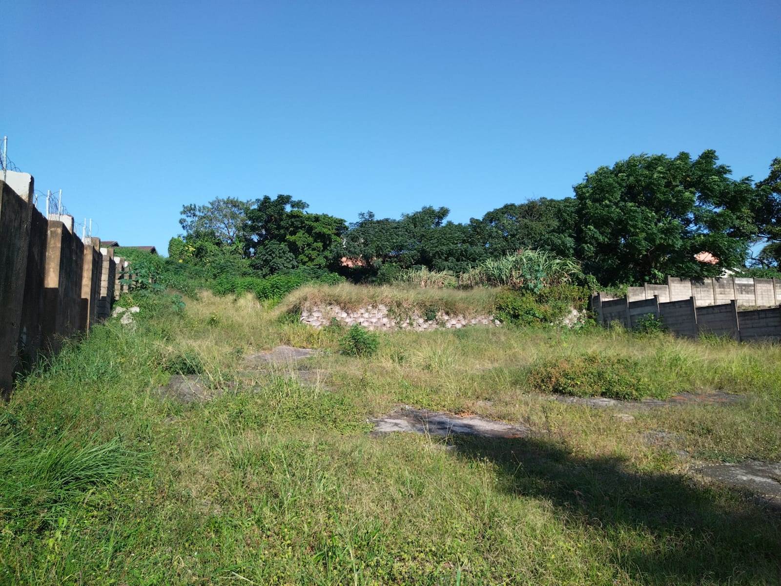 1524 m² Land available in Bluff photo number 2