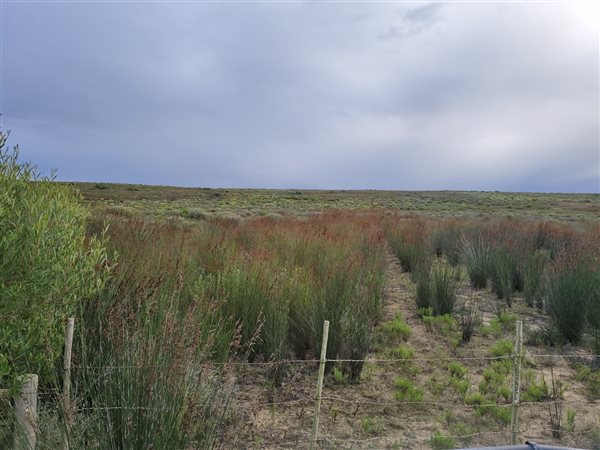280.7 ha Farm 280.7 ha Farm