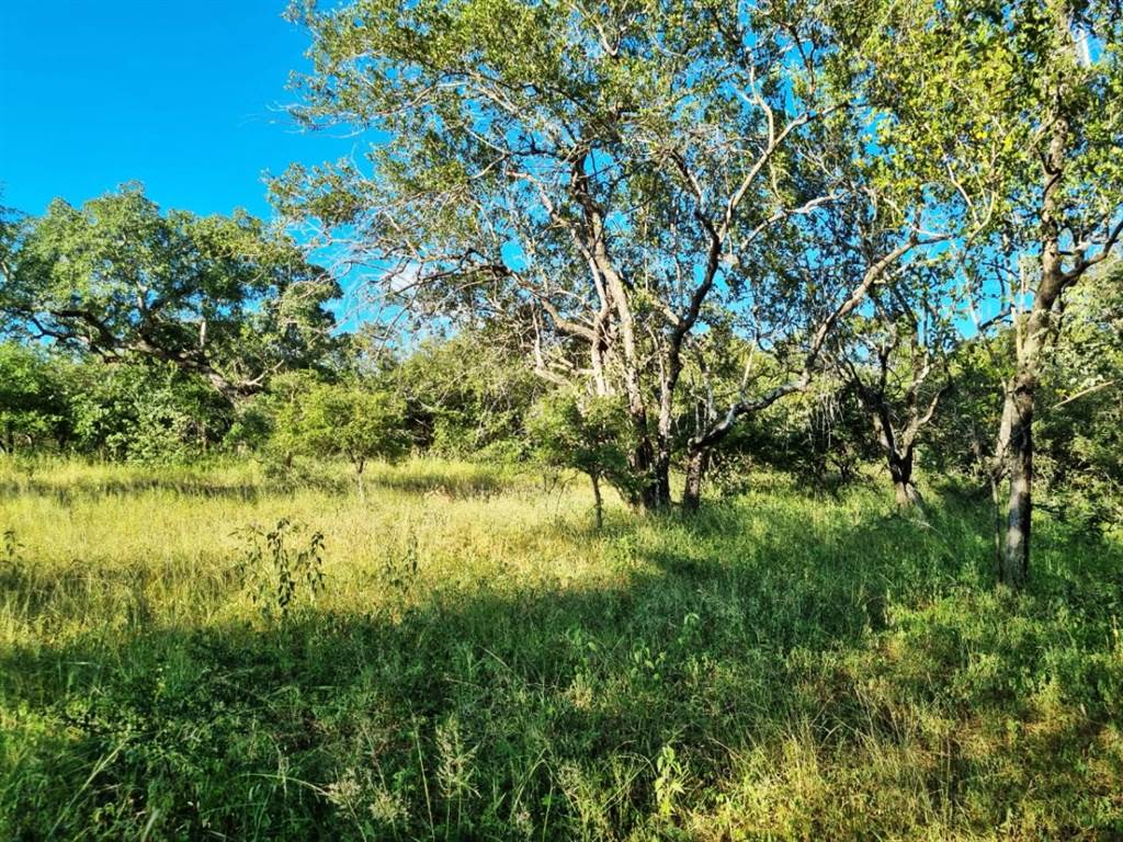 1540 m² Land available in Marloth Park photo number 9