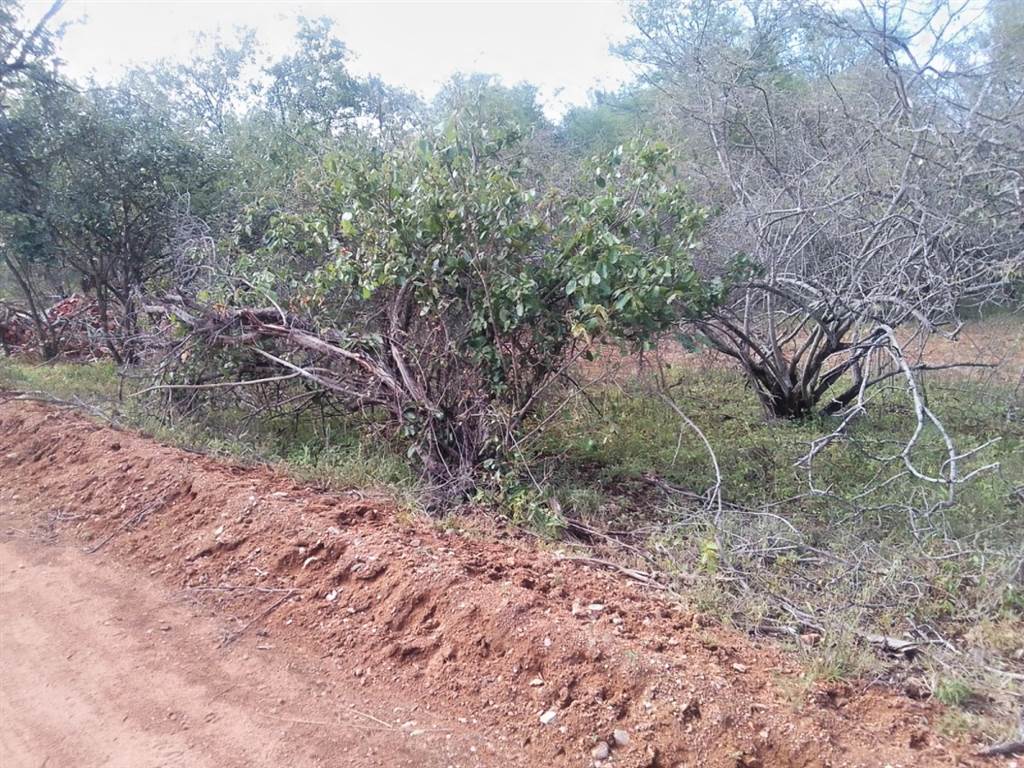 1540 m² Land available in Marloth Park photo number 11