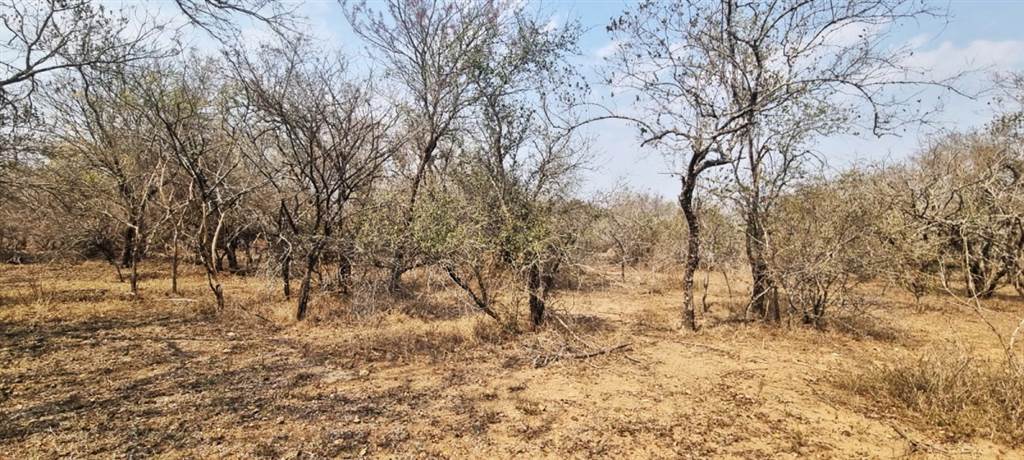 1540 m² Land available in Marloth Park photo number 5