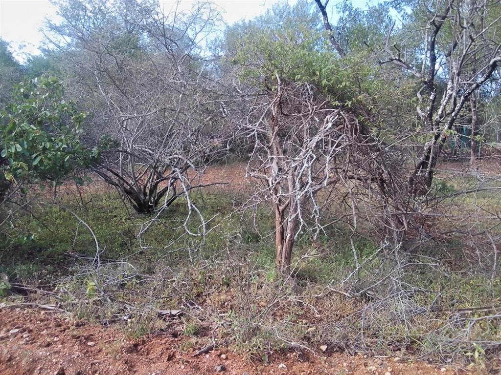 1540 m² Land available in Marloth Park photo number 14