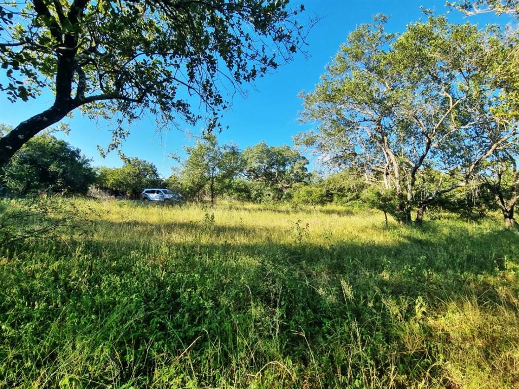 1540 m² Land available in Marloth Park photo number 10