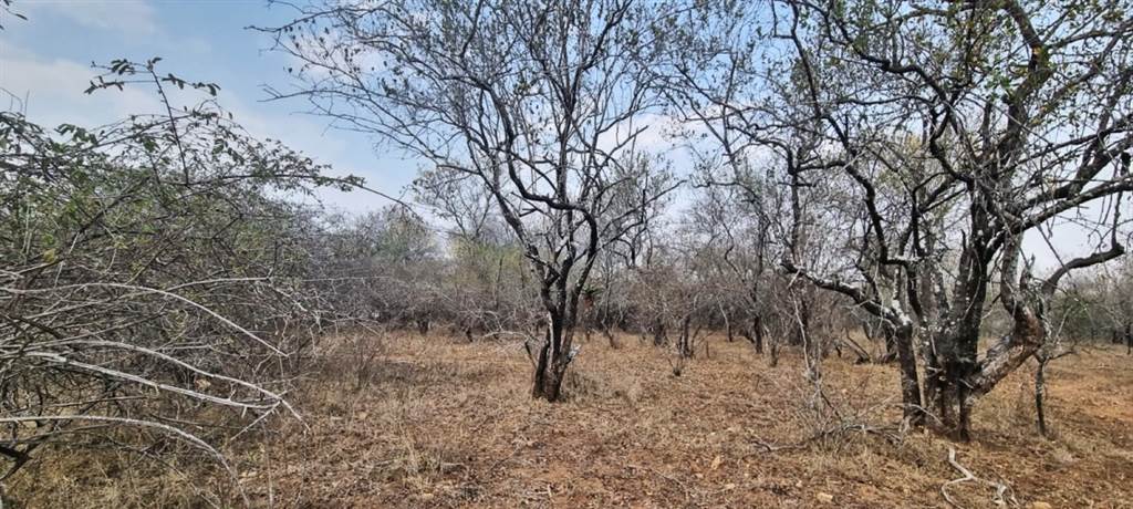 1540 m² Land available in Marloth Park photo number 3