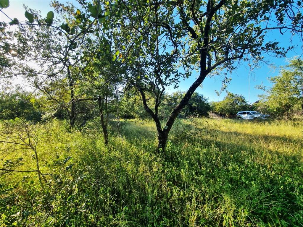 1540 m² Land available in Marloth Park photo number 8