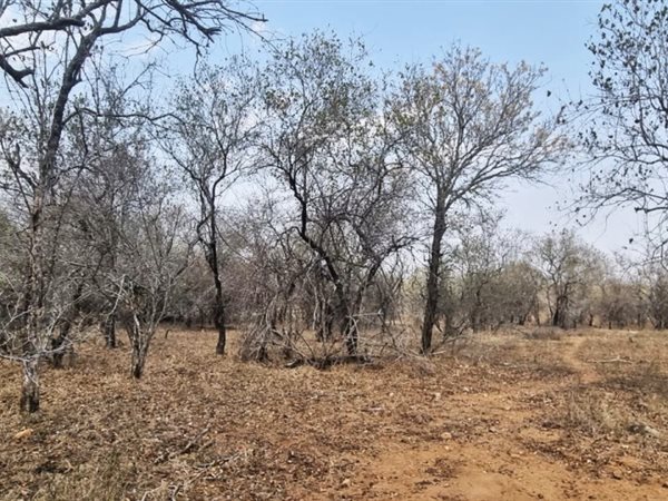 1540 m² Land available in Marloth Park