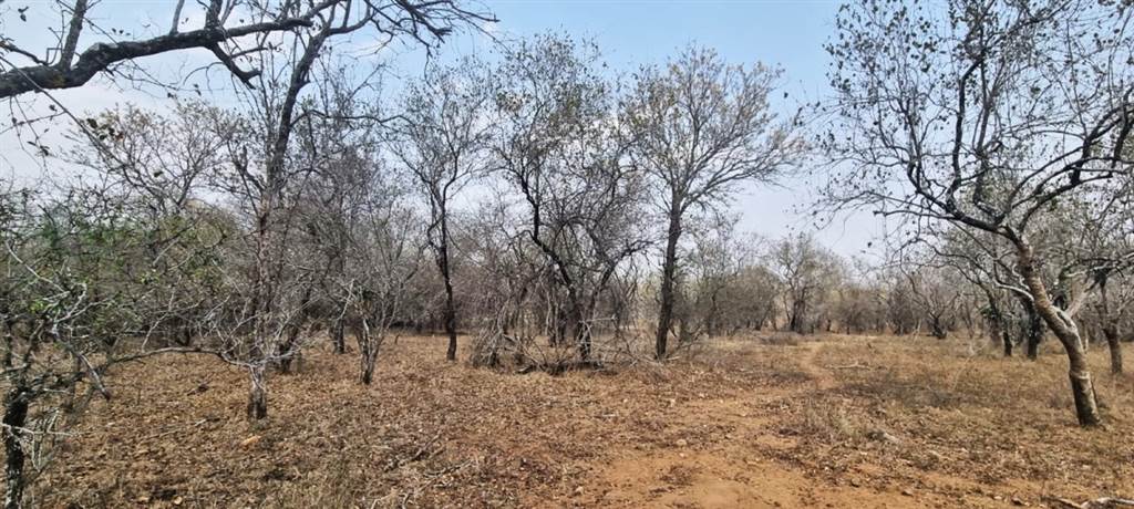 1540 m² Land available in Marloth Park photo number 1