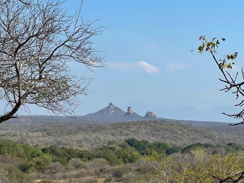 2788 m² Land available in Elephant Rock Eco Estate photo number 20