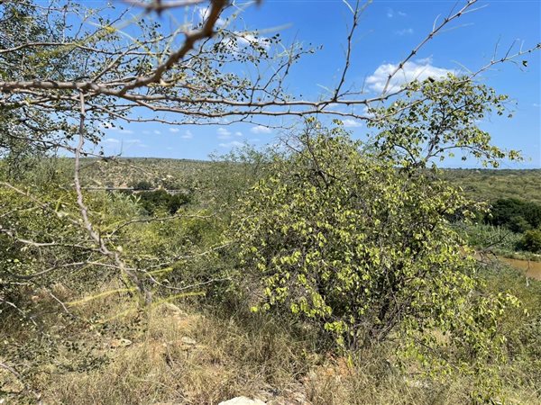 2788 m² Land available in Elephant Rock Eco Estate