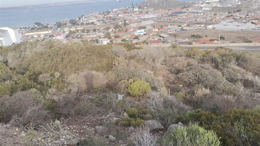 985 m² Land available in Saldanha photo number 6