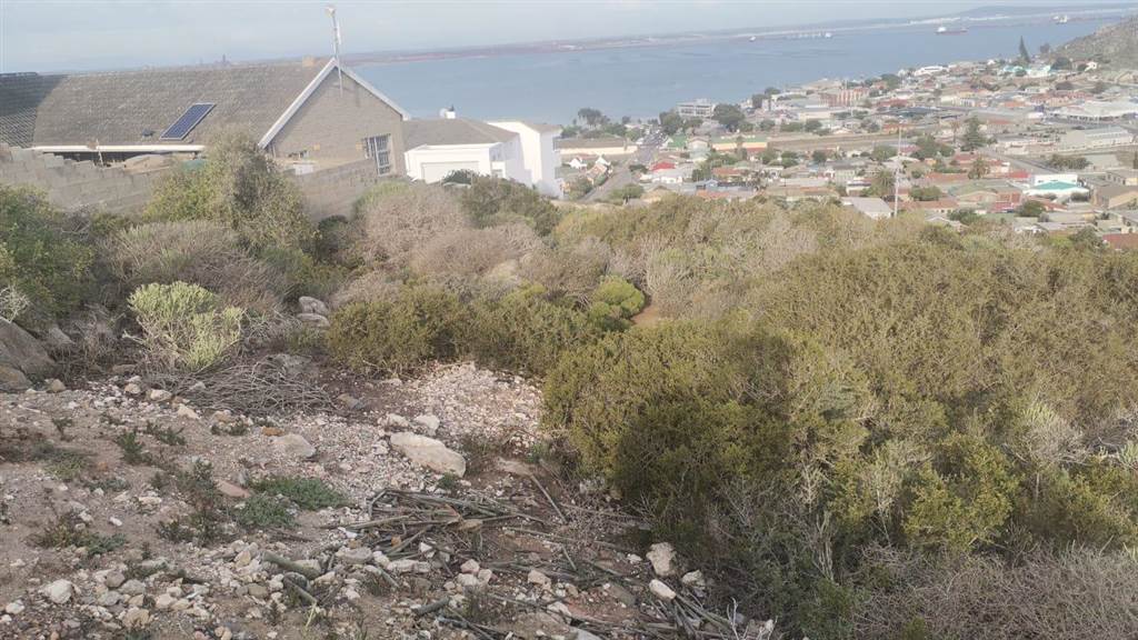 985 m² Land available in Saldanha photo number 8