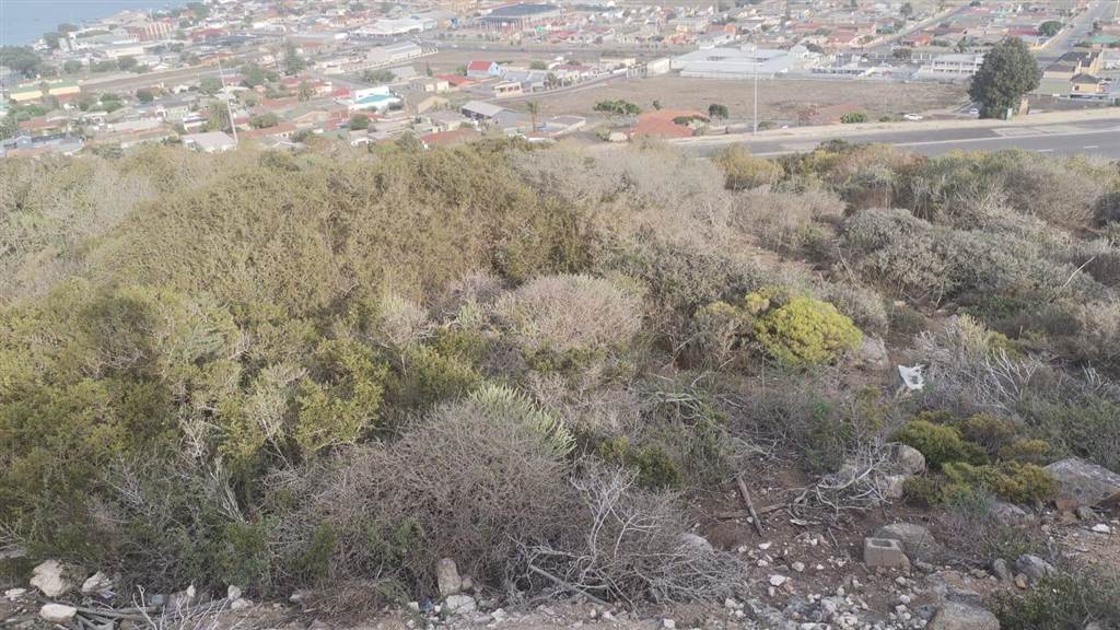 985 m² Land available in Saldanha photo number 3