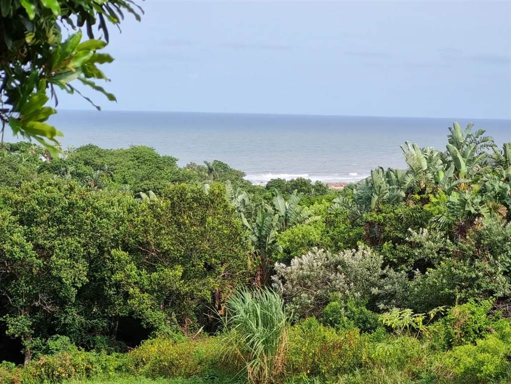 1535 m² Land available in Port Edward photo number 4