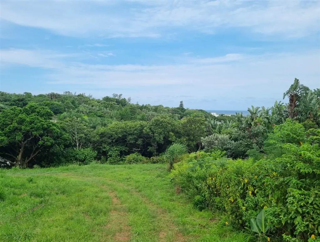 1535 m² Land available in Port Edward photo number 14