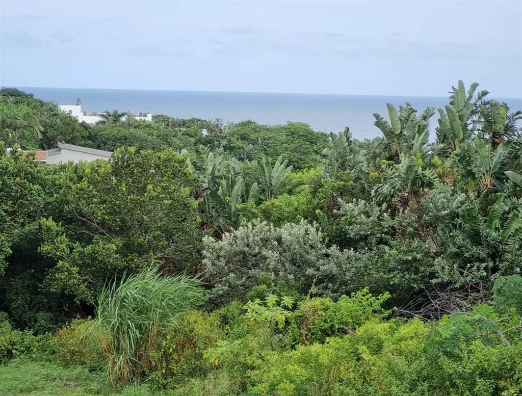 1535 m² Land available in Port Edward photo number 16