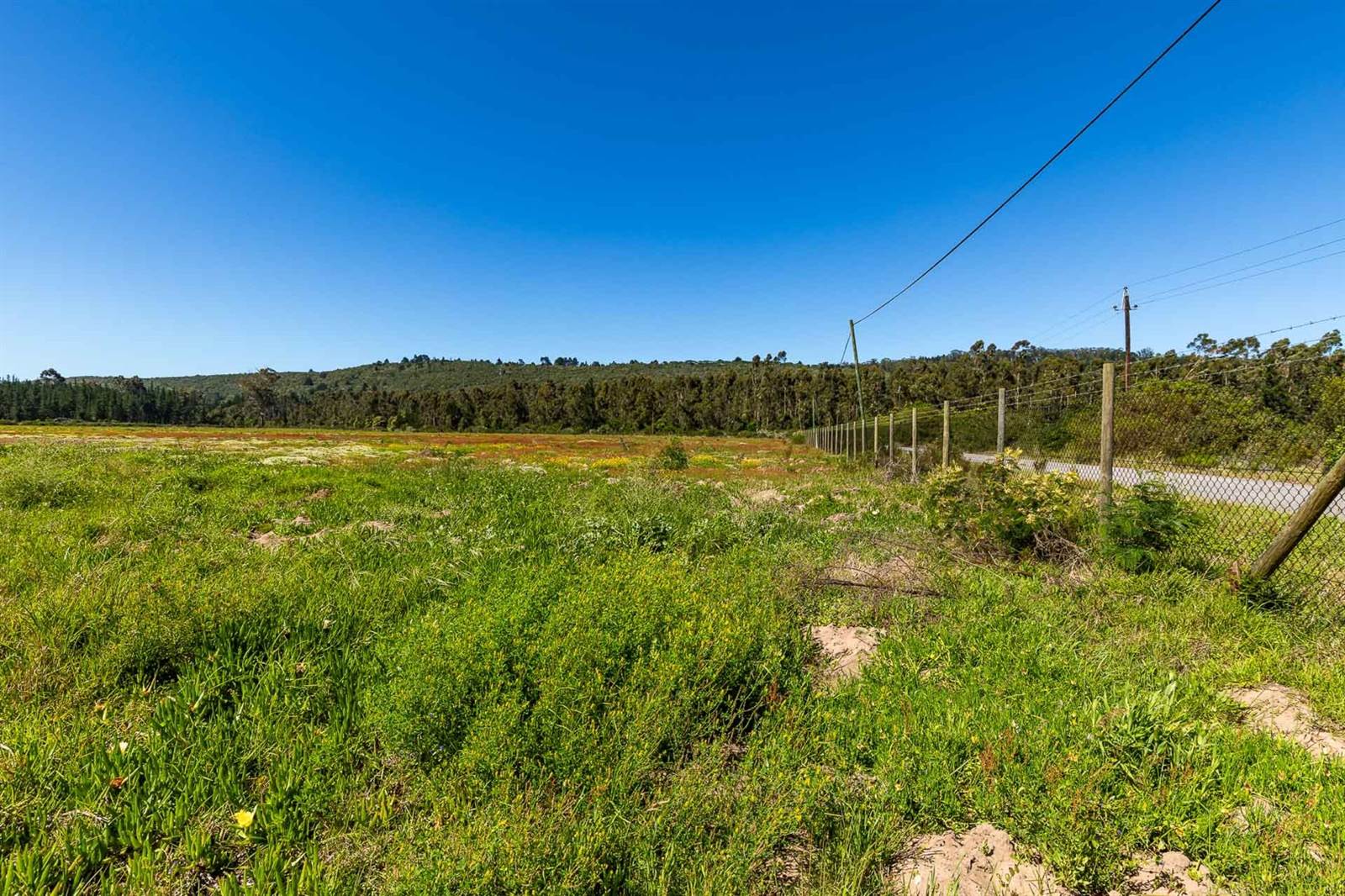 8 ha Land available in Sedgefield photo number 7