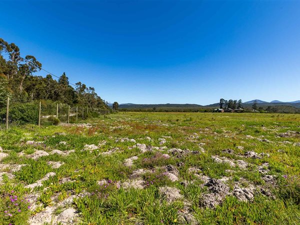 8 ha Land available in Sedgefield