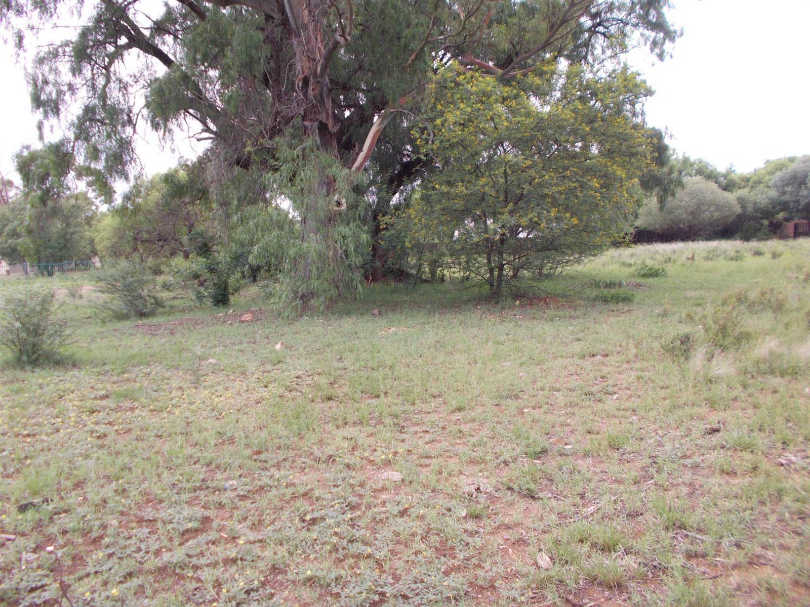 2293 m² Land available in Bethulie photo number 11