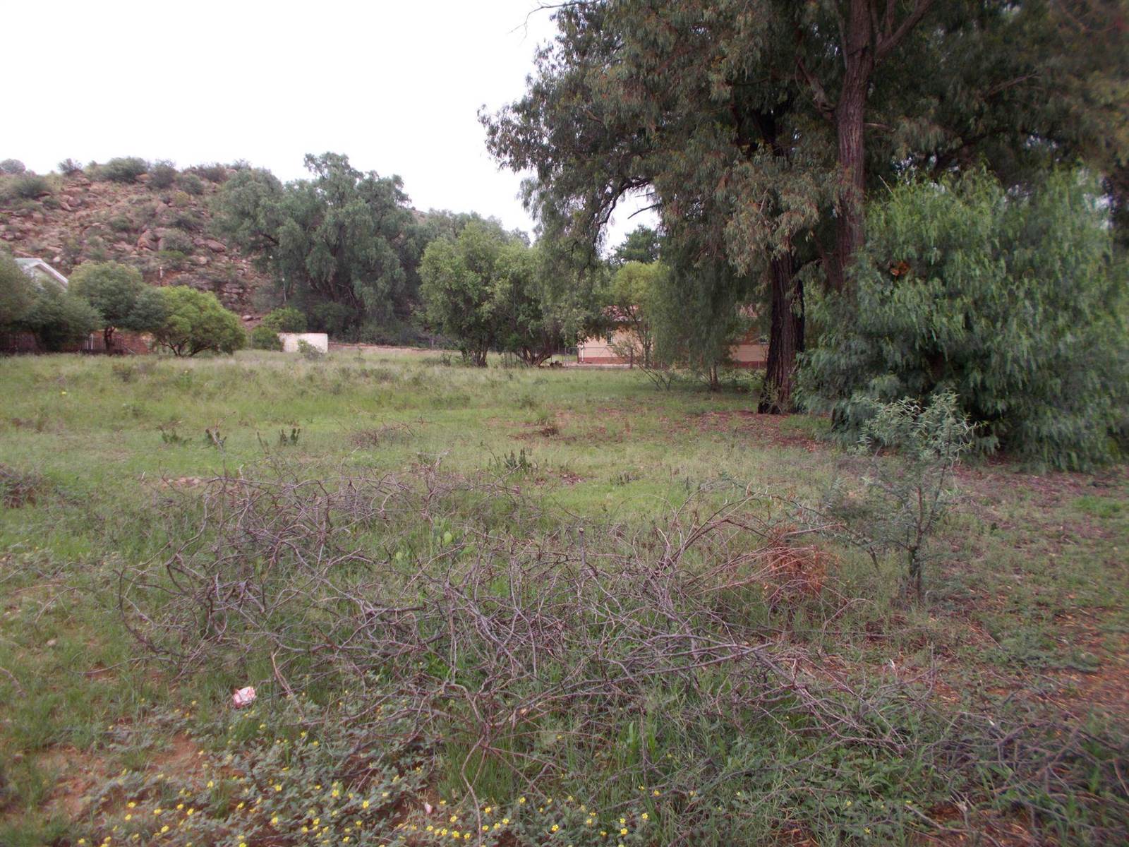2293 m² Land available in Bethulie photo number 5