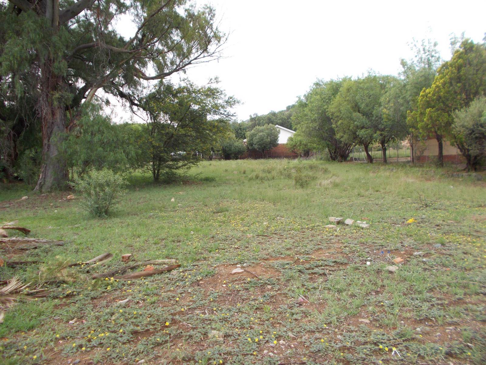 2293 m² Land available in Bethulie photo number 9