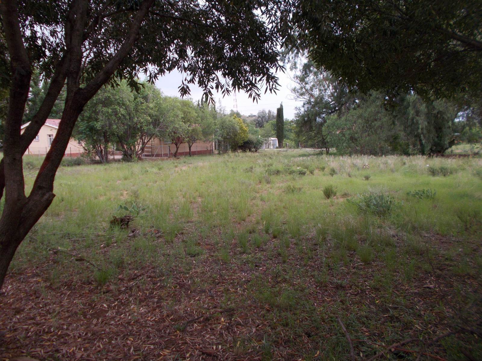 2293 m² Land available in Bethulie photo number 13