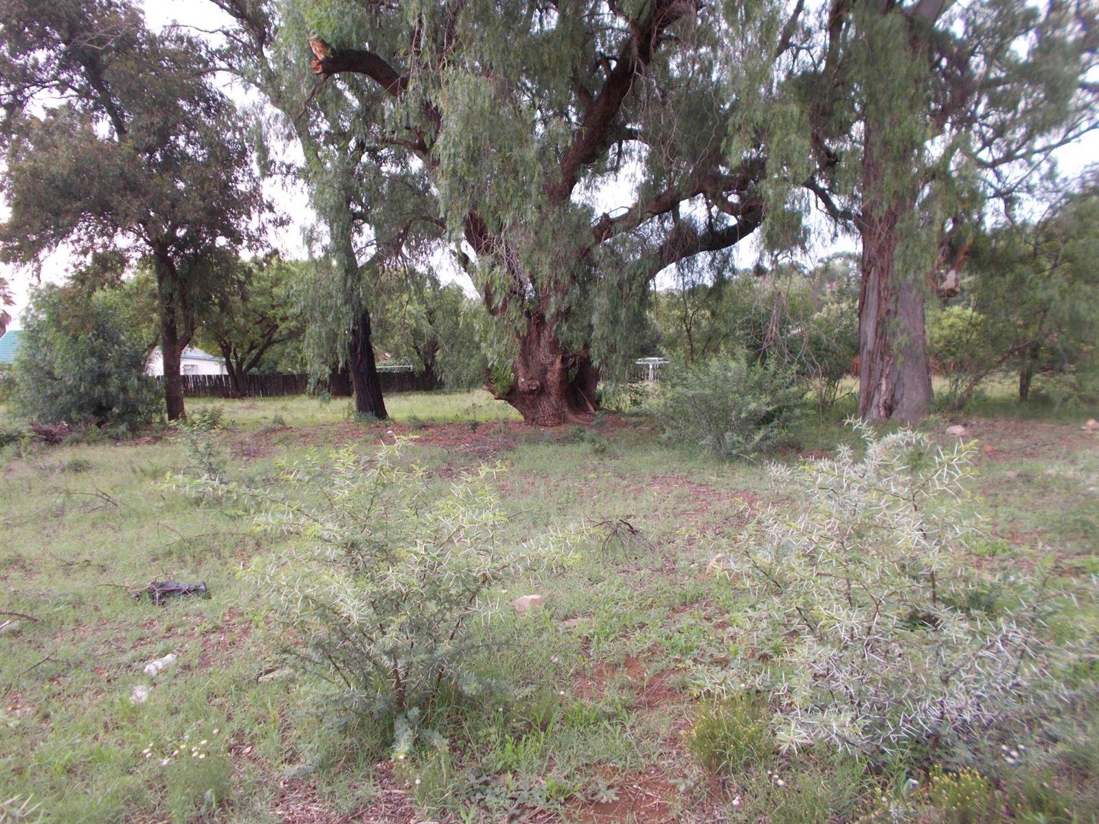 2293 m² Land available in Bethulie photo number 8