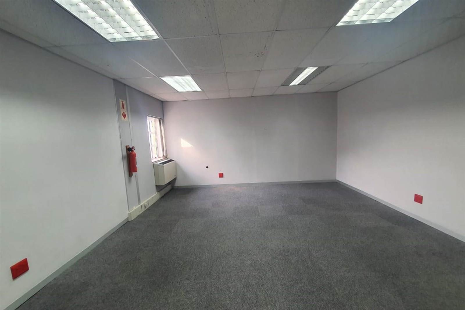 430  m² Commercial space in Newton Park photo number 9