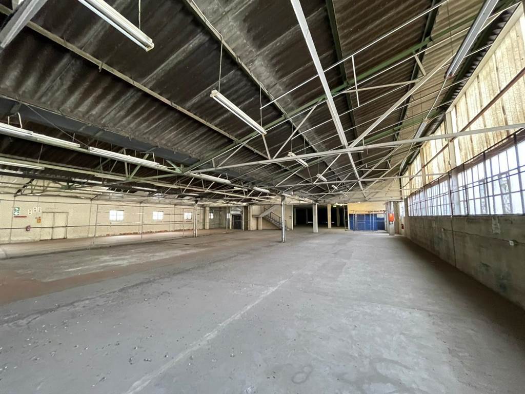4861  m² Industrial space in Goodwood photo number 19