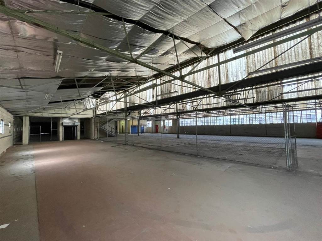 4861  m² Industrial space in Goodwood photo number 4