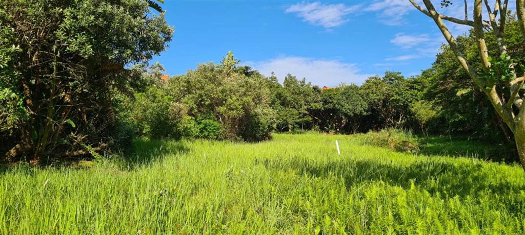 1300 m² Land available in Zimbali Estate photo number 11