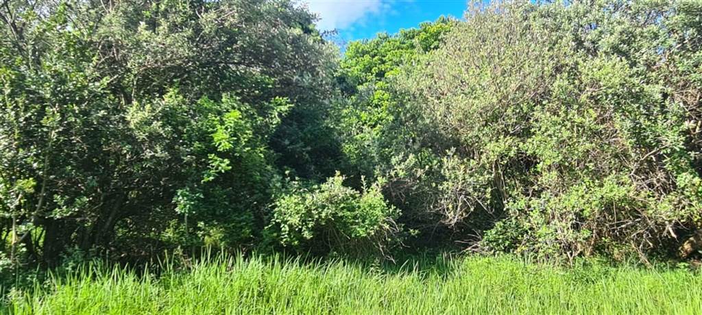 1300 m² Land available in Zimbali Estate photo number 15