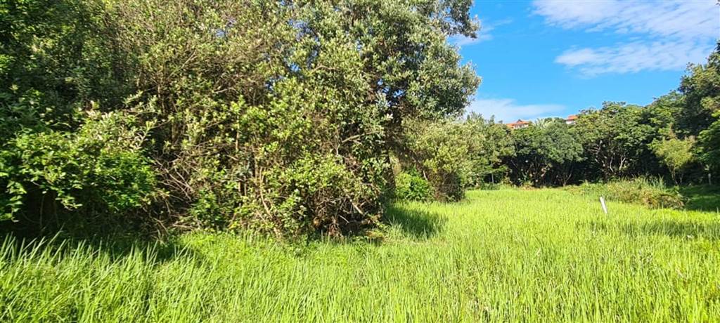 1300 m² Land available in Zimbali Estate photo number 17