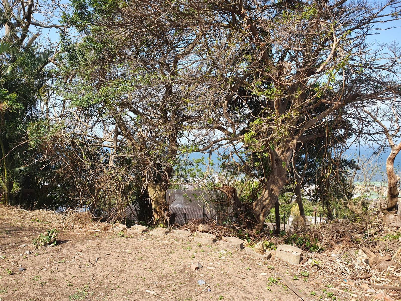 800 m² Land available in Margate photo number 22