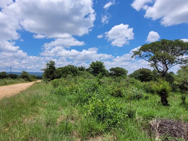 2974 m² Land available in Vaalwater