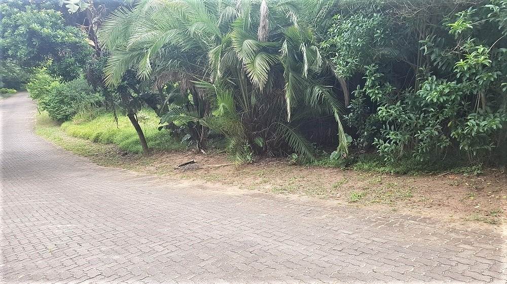 1387 m² Land available in Woodgrange photo number 3