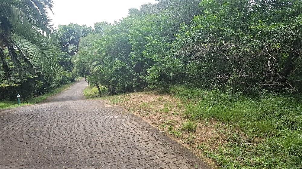 1387 m² Land available in Woodgrange photo number 4