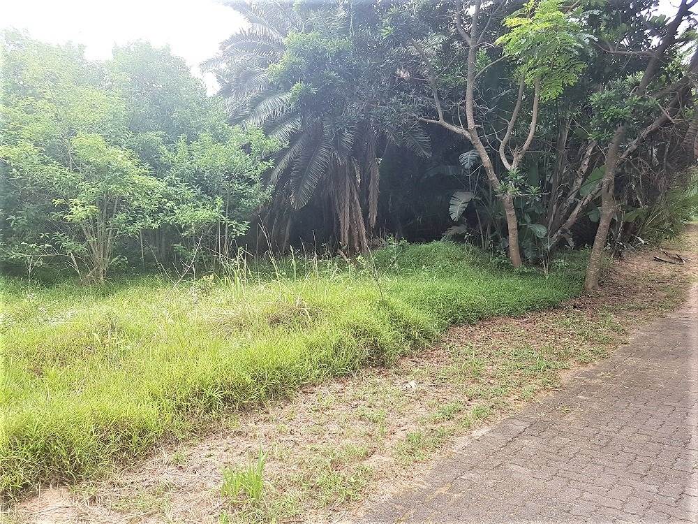 1387 m² Land available in Woodgrange photo number 2