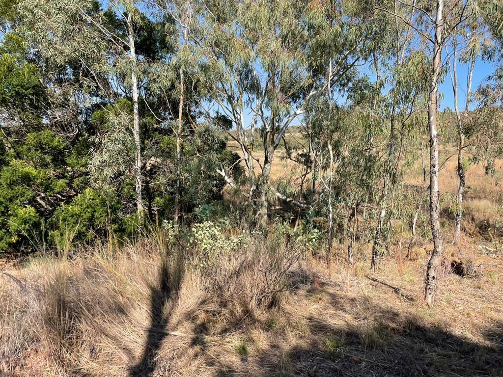 11 ha Land available in Zwavelpoort photo number 11