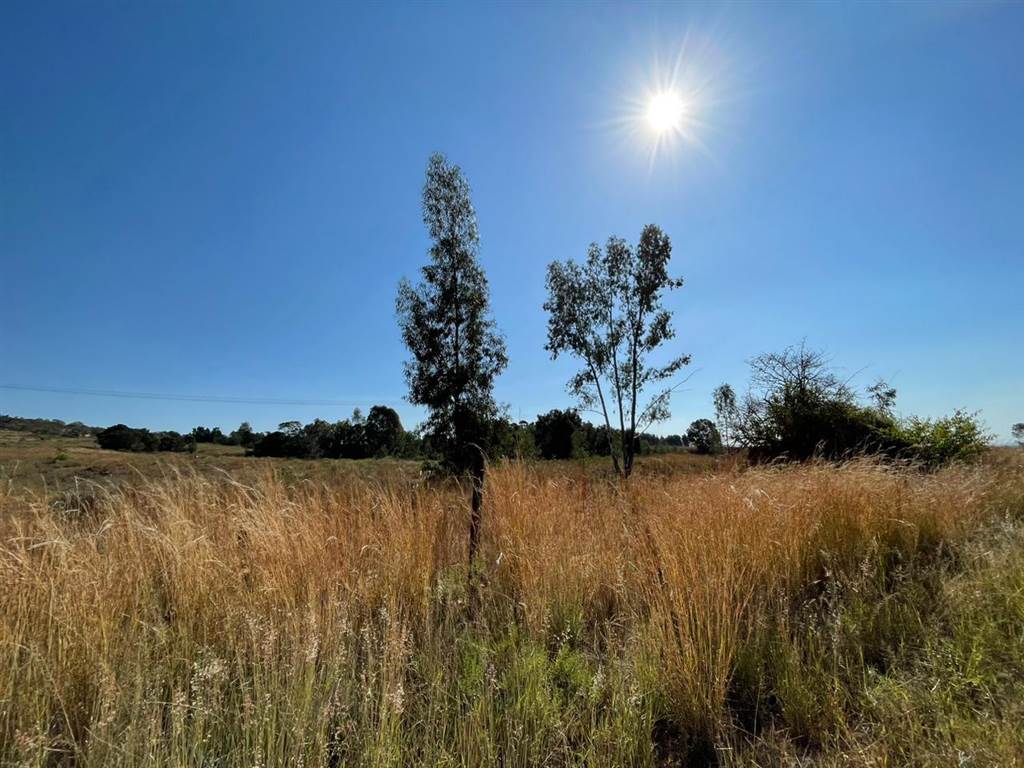 11 ha Land available in Zwavelpoort photo number 14