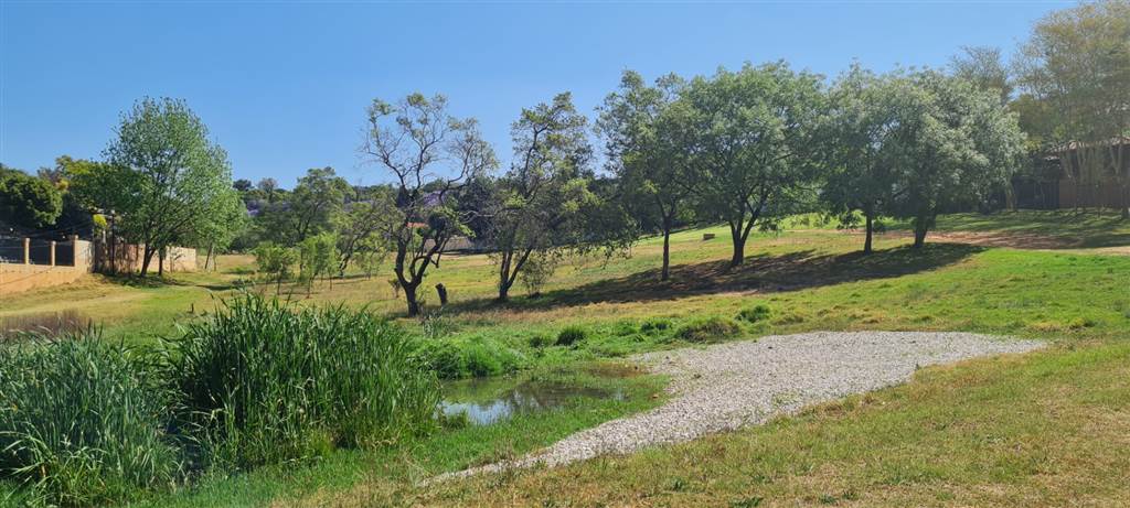 2000 m² Land available in Waterkloof Ridge photo number 10
