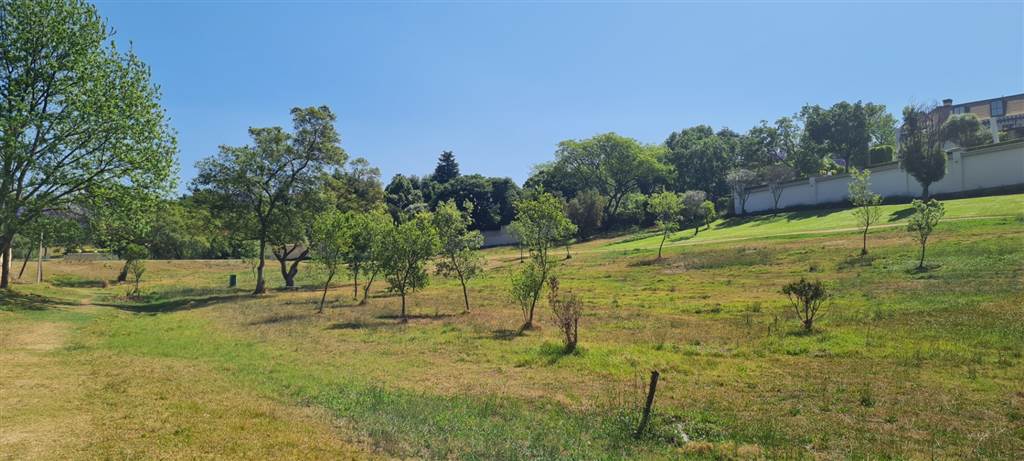 2000 m² Land available in Waterkloof Ridge photo number 3