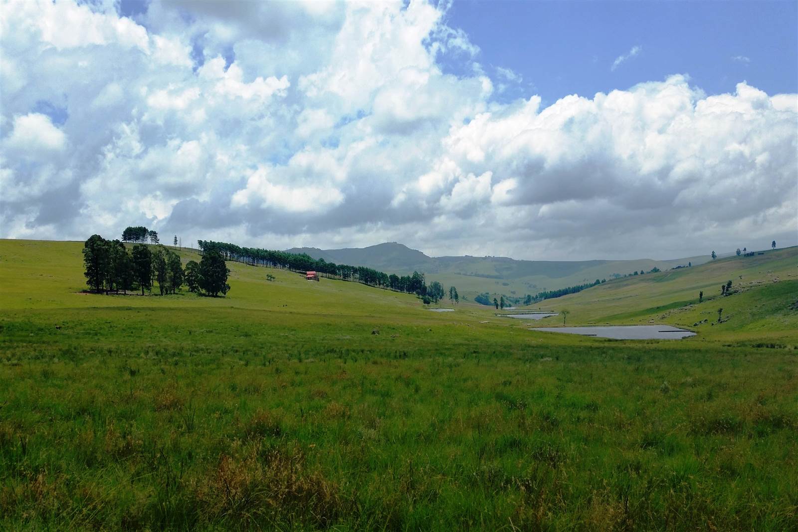 1.5 ha Land available in Dullstroom photo number 4