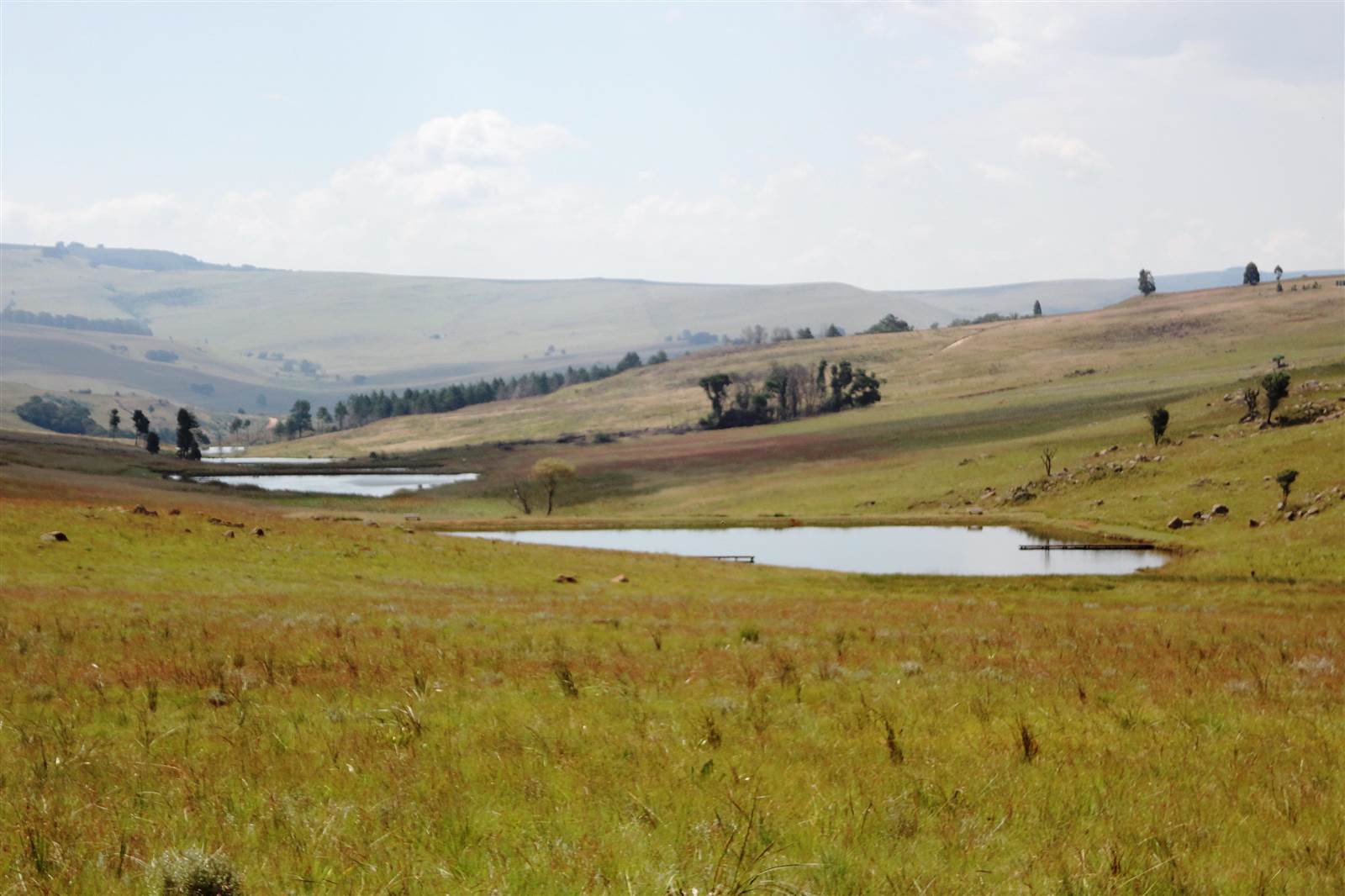 1.5 ha Land available in Dullstroom photo number 2